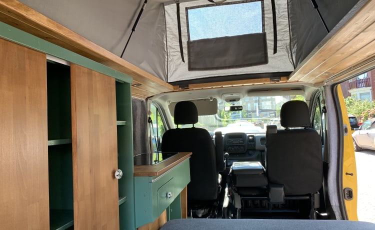 KIWI GOLD (6) – Renault Trafic Eco bus camper completamente autosufficiente