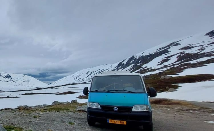 Joey – Autocar de camping unique et atmosphérique