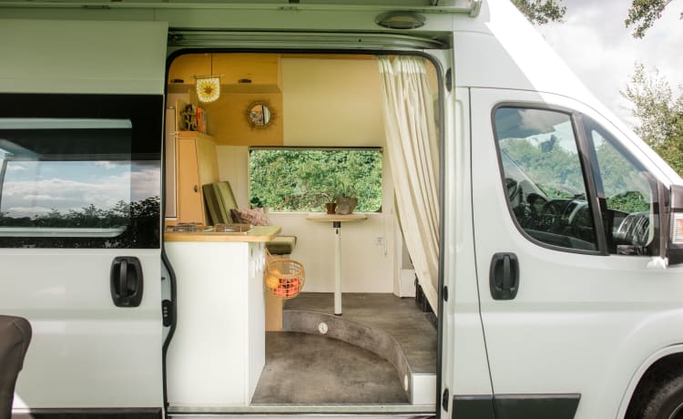 Ducato – Unieke, sfeervolle camper