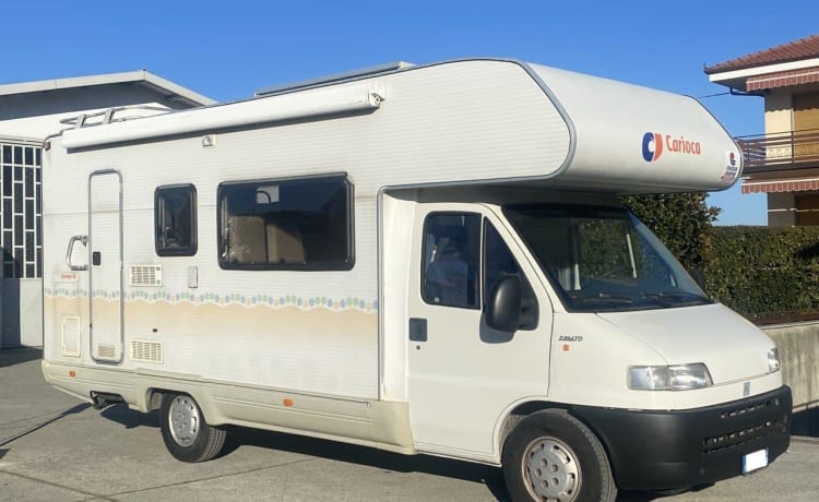 Dookie – CARIOCA DUCATO 6 BEDDEN