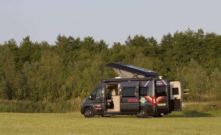 Ziggy – ZIGGY- Gloednieuwe automatische Elddis GTV80 camper voor zelfverhuur