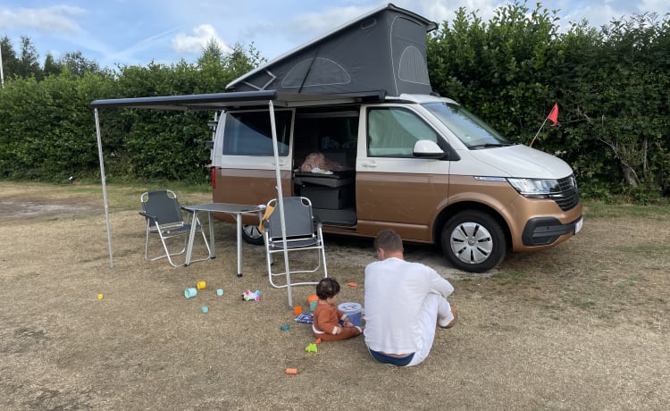 BATmobiel :) – VW California T6.1 met standverwarming