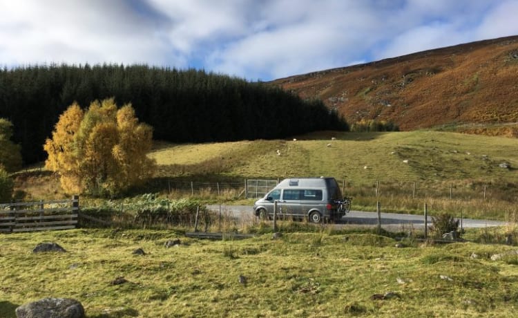 Capercaillie – Volkswagen Campervan with Shower, Toilet and Cooker 