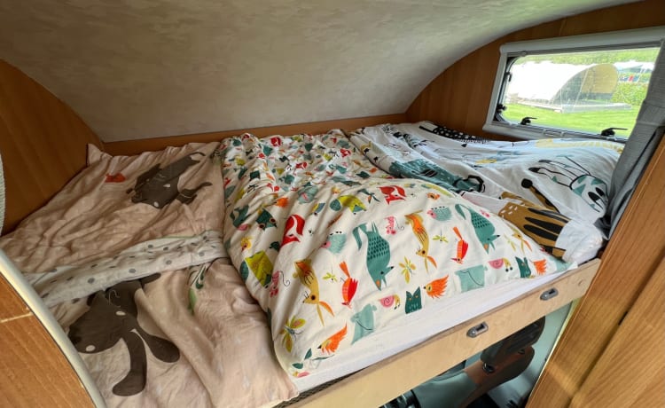 Mclouis – Camping-car familial spacieux pour 6 personnes