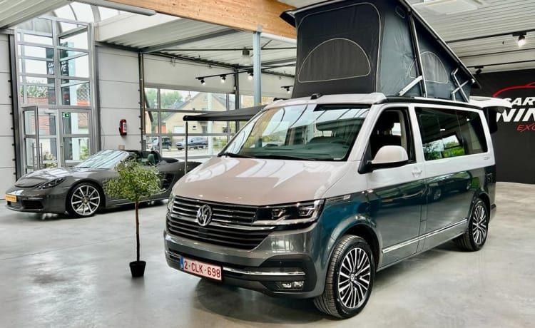 OCEAN – Volkswagen CALIFORNIA campervan uit 2022