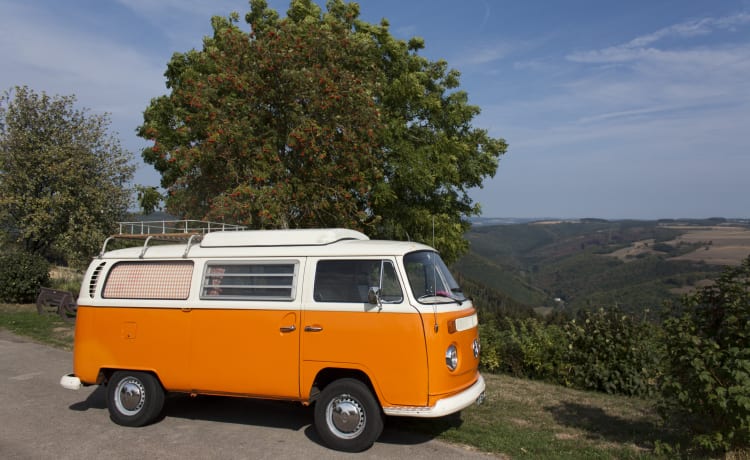 Maxima – Remontez le temps avec une Volkswagen T2 - Entièrement restaurée !