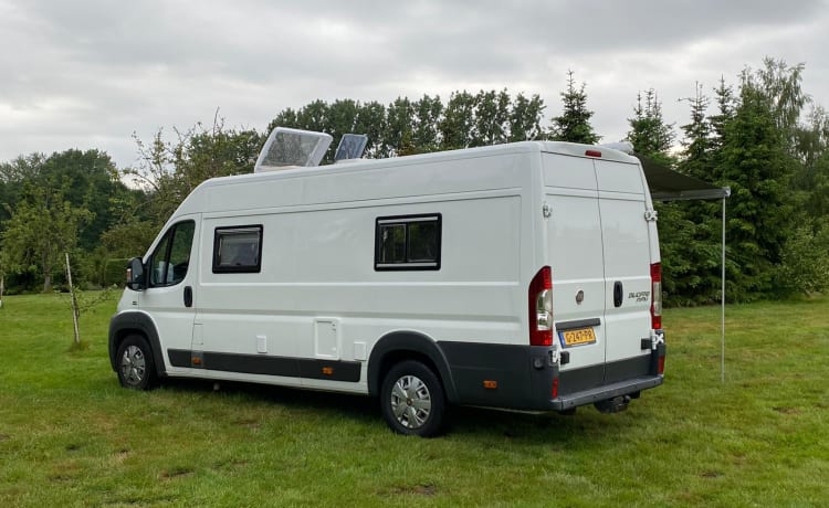 Camping-car Fiat Ducato avec sièges de luxe et un grand lit double.