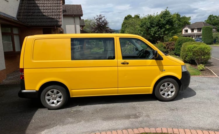 Lucy – Comfy, clean, compact VW Transporter