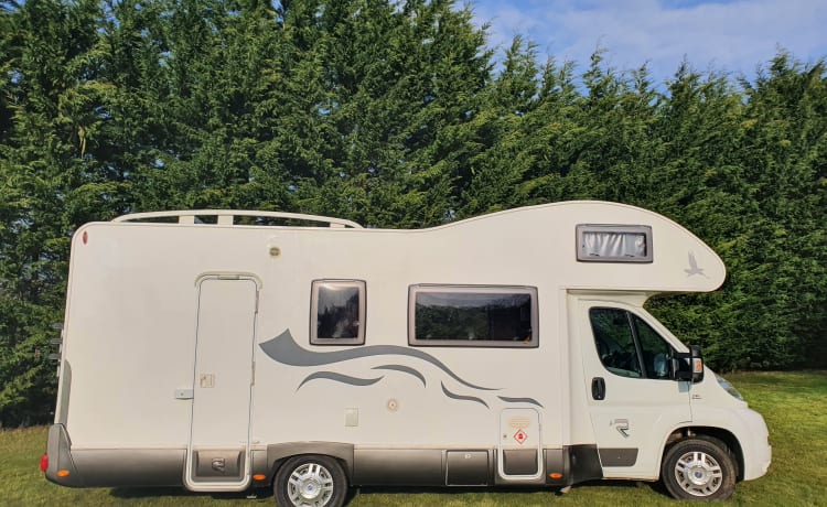 Frankie G – Frankie is onze mooie en flexibele 6-persoons camper.