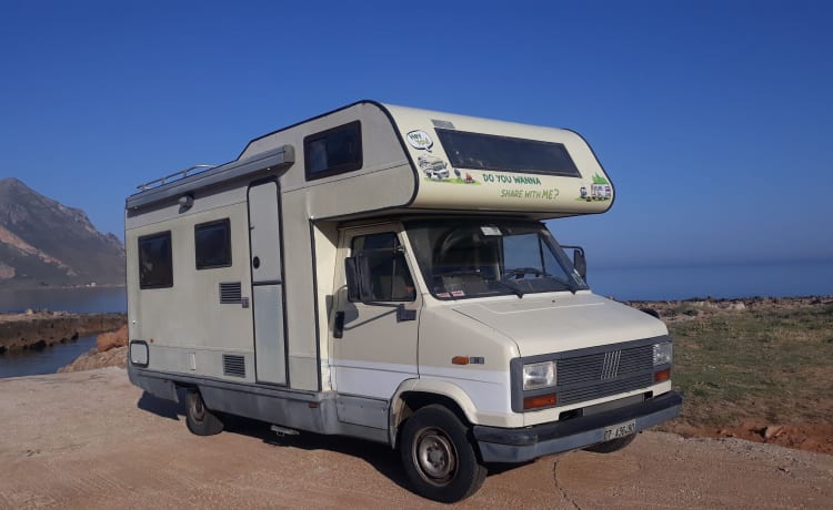 Camper mansardato Fiat Ducato Adriatik 2.5D San Vito Lo Capo