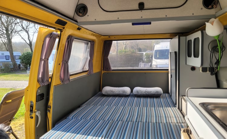 CHICO – cozy, neat, canary yellow oldtimer VW T3 for rent!