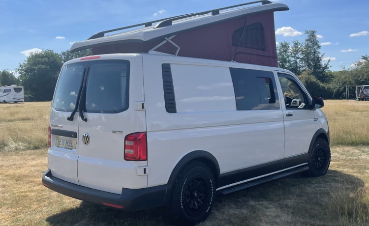 4-Bett-Volkswagen-Wohnmobil T6 LWB 2018 neue Konvention