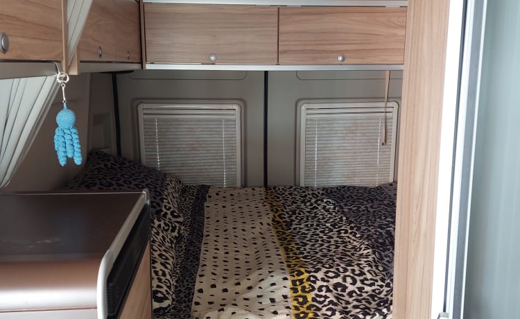 Hymer Grand Canyon bus camper