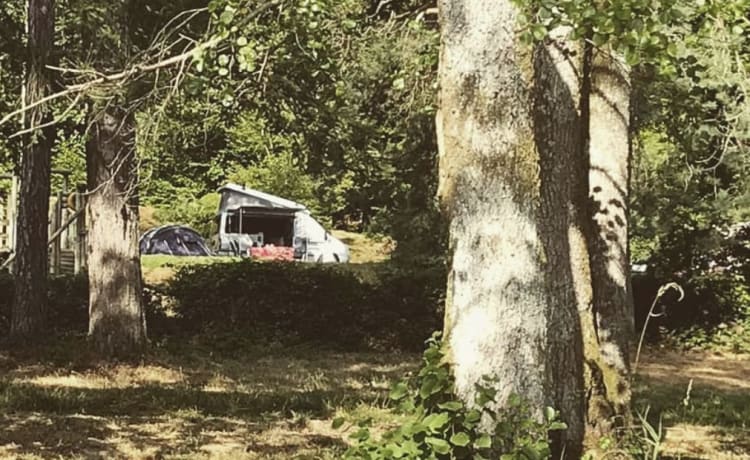 Camping-car à toit ouvrant Ford Nugget