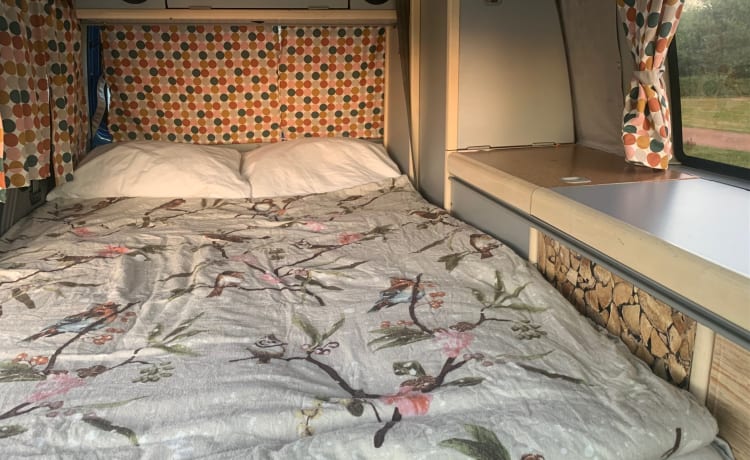 Allegro camper Volkswagen con pianale sollevabile e letto estraibile per 2 persone