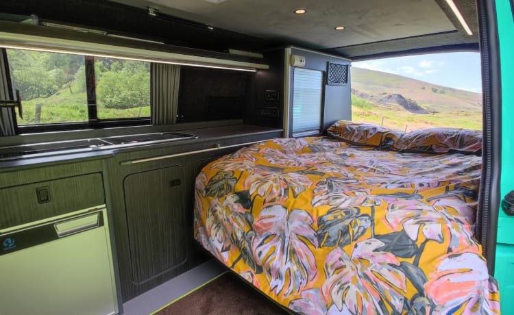 GREENIE –   4 berth GREENIE ! VW CAMPERVAN T6 2.0 Tdi (2018).