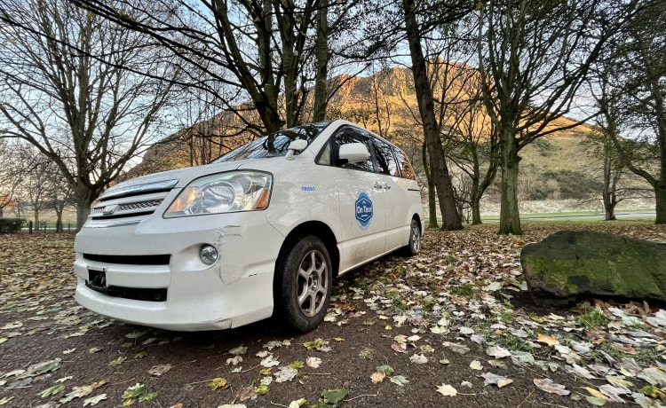 Frisko – auto -  insurance included - central Edinburgh