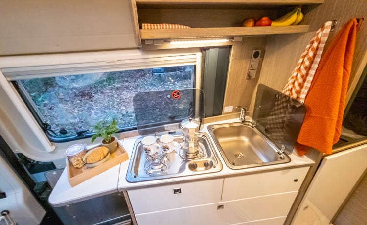 Fijnja – Lusso 4 pers. Camper bus Pössl con tetto sollevabile per dormire dal 2019