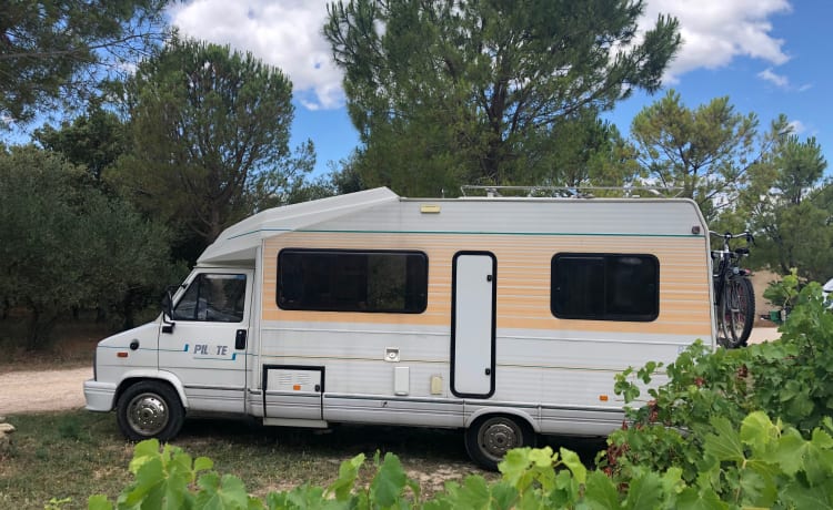 Sunny – For rent in Portugal this summer: great classic, perfect condition