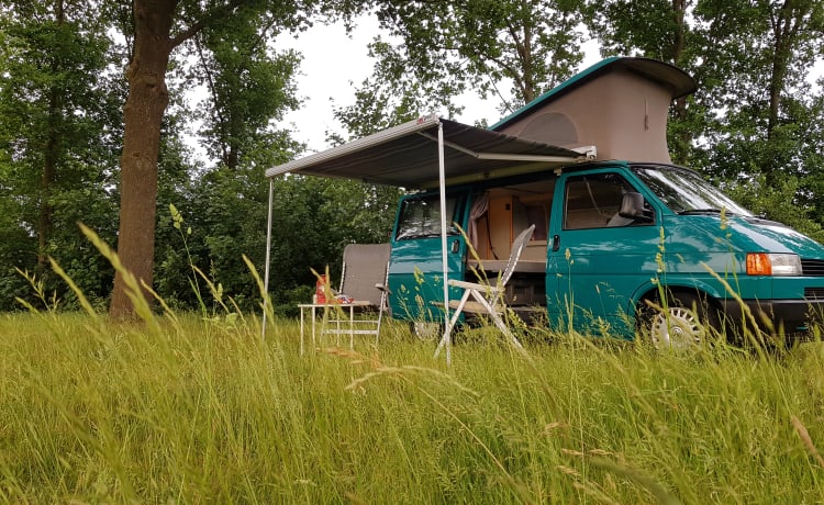 Greenhouse! – Go on an unforgettable road trip with this T4 Westfalia!