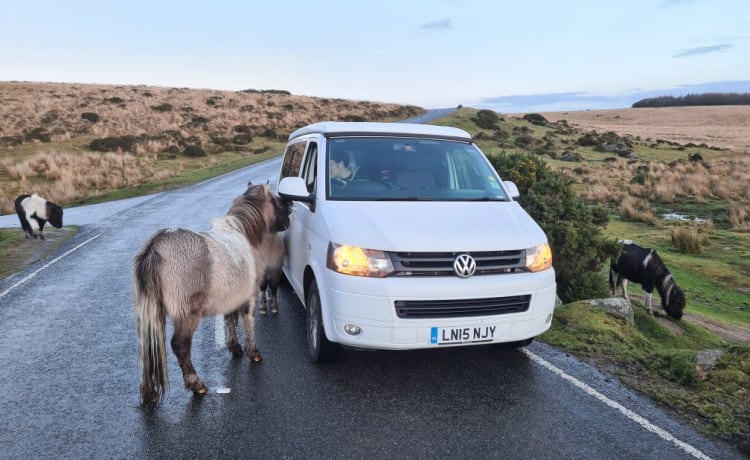 VW T5 SWB – Pop Top Campervan avec vitesses automatiques (2 adultes et 2 enfants)