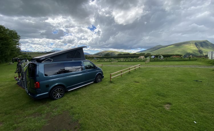 Bluey the Transporter Heeler – VW T6 Petrolblau, 4-Bett