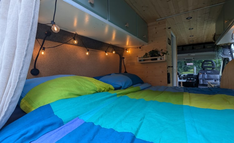 Vennie – 2p Fiat campervan from 2012