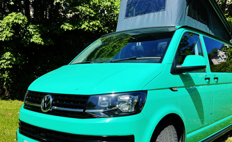 Minty – Volledig uitgeruste 4 persoons LWB Volkswagen T6 2018