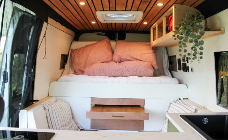 De EcoExpress – Nieuw: Luxe gasloze off-grid camper