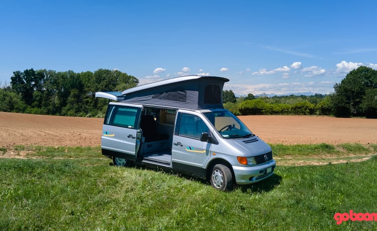 Ale – Mercedes Westfalia Vito Marco polo