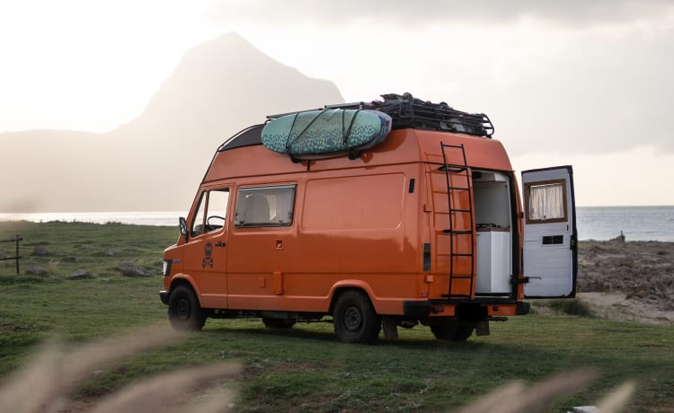 Maui – VAN MERCEDES WESTFALIA T1