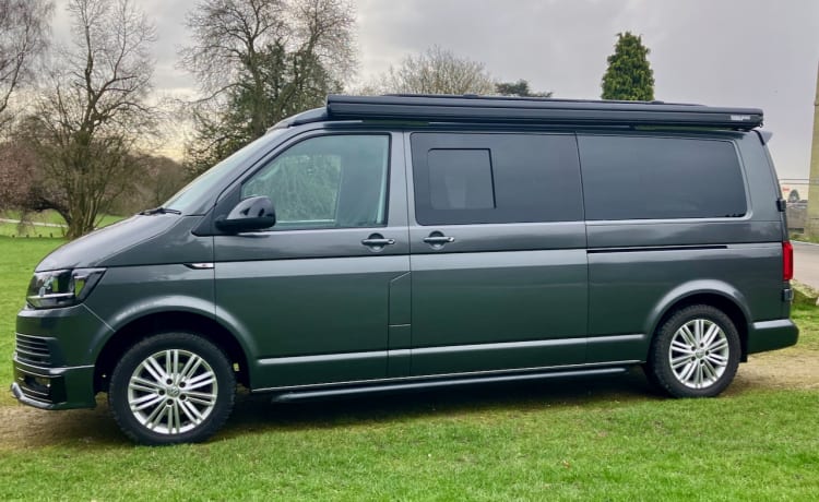 Billy – High Spec - Auto - LWB - VW T6