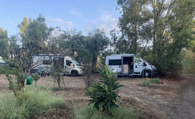 Very neat self-built 2p Fiat Ducato bus from 2016 