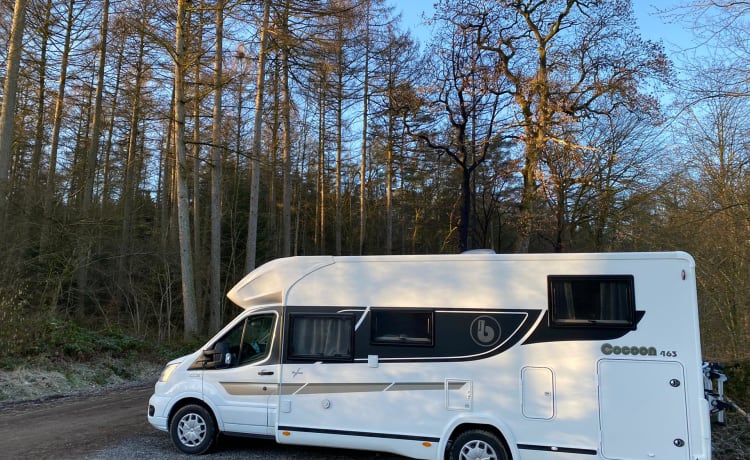 Benimar Cocoon 463 – Brandneues Familien-Wohnmobil - Führerschein B