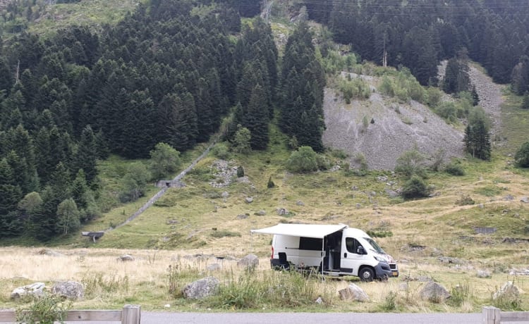 Cozy, very complete bus camper