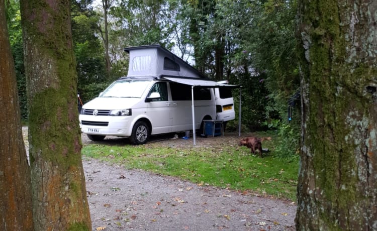 Dora – Camping-car VW récemment converti, moderne et élégant