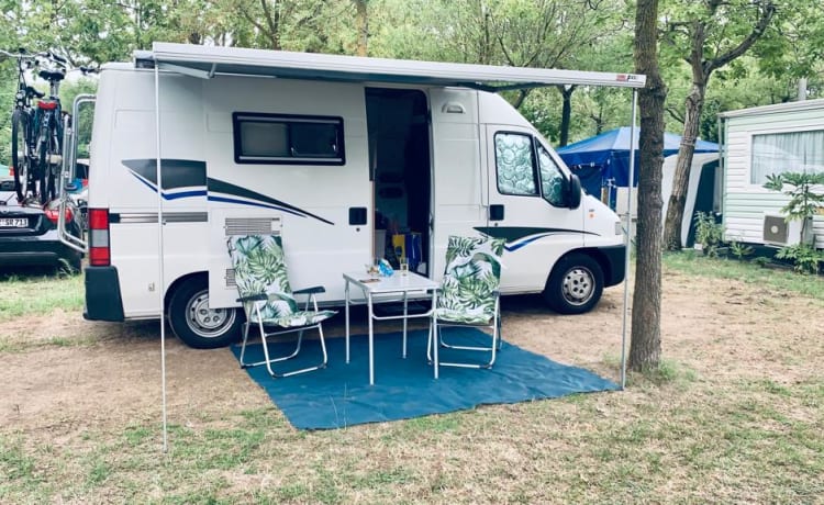 HÉÉRLIJKE Camper – Ihr AbenteuerVon Fiat Ducato