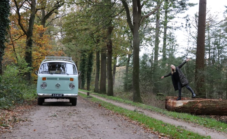 Lientje – Autobus Volkswagen T2 del 1990