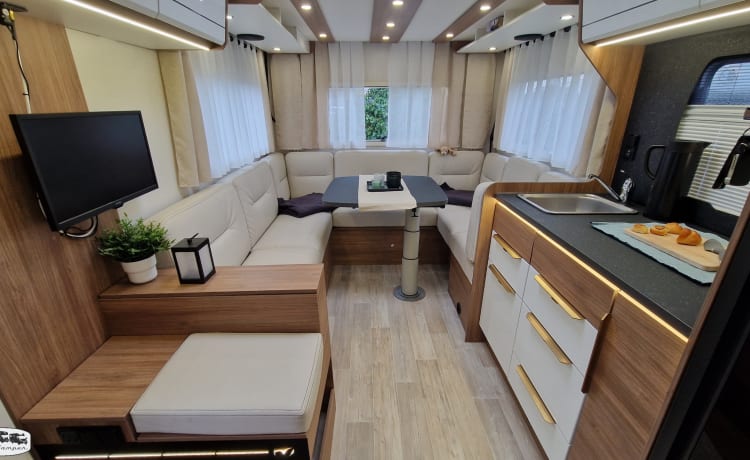 der U – (T) Floor plan with rear seating group: Pilote P696 U Evidence