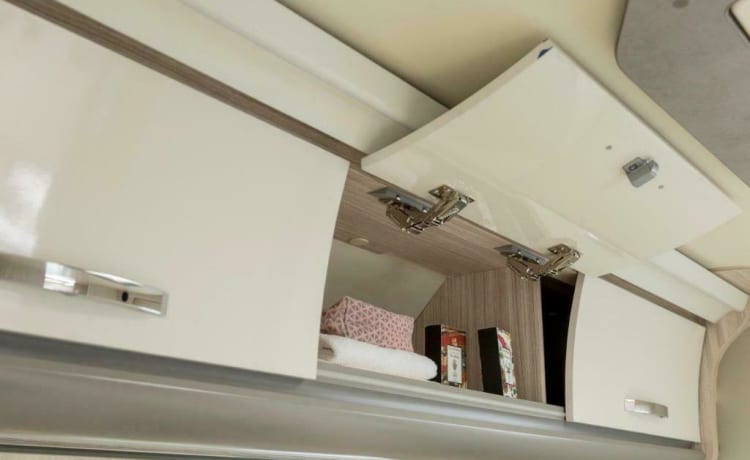 Dream on wheels –  ELNAGH  T LOFT 530 Happy Camper