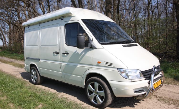 Sprinter 311 CDI – Compact and smooth Mercedes Sprinter with fixed, luxurious 2 bed