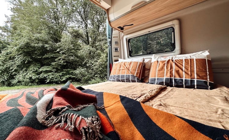 CLAY & GRACE - home away from home – 2-person Knaus bus camper from 2019 - with special design