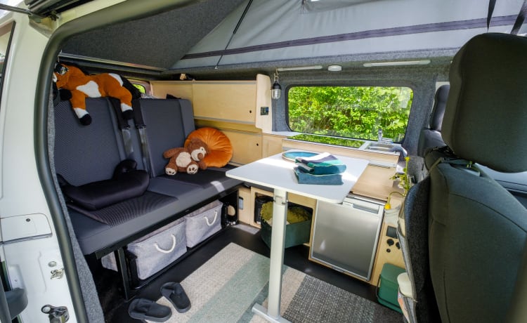 Evonne – EV Camper ⚡️ 100% elektrisch