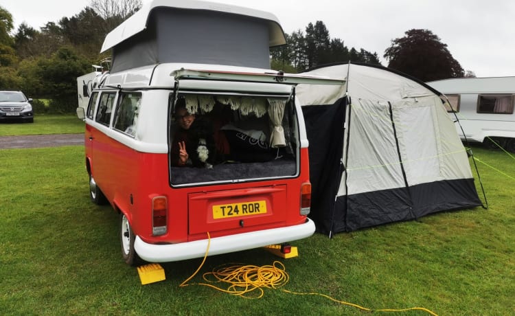 Rory – Camper VW T2