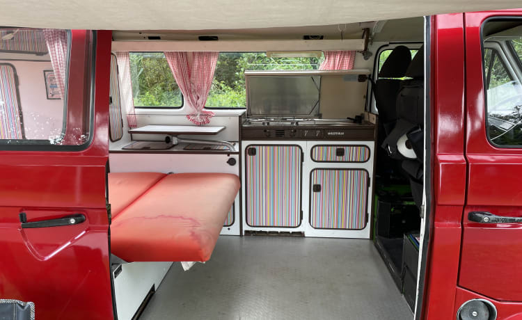 Lana – Camper Volkswagen 2p del 1981