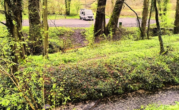 Wiewuiten – Romantisch cocoonen in de natuur