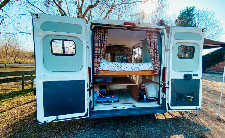 Accogliente camper per autobus fai-da-te (surf).