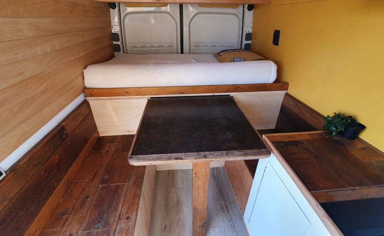 Bus camper VW Crafter fuori rete 3 persone