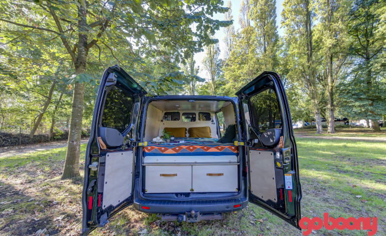 Ford Campervan mit großem Bett und ausziehbarer Küche