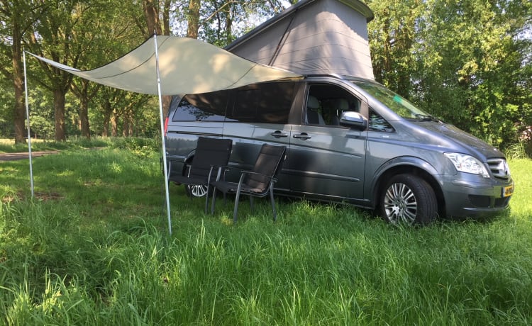 Super Luxe Mercedes Westfalia Camper